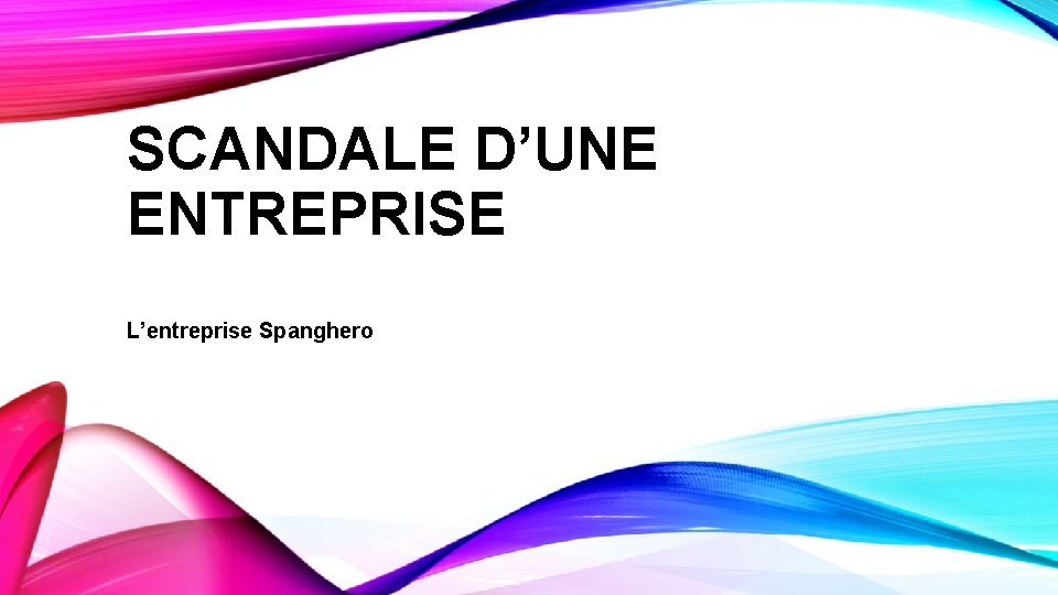 SCANDALE D’UNE ENTREPRISE L’entreprise Spanghero 