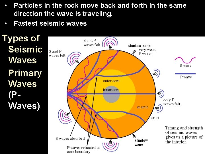  • Particles in the rock move back and forth in the same direction