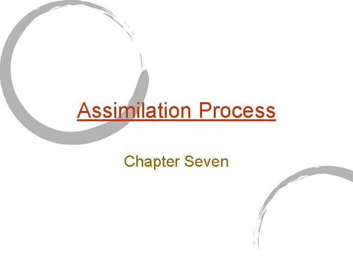 Assimilation Process Chapter Seven 