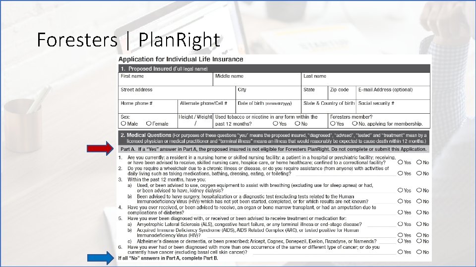Foresters | Plan. Right 