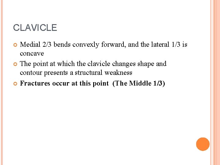 CLAVICLE Medial 2/3 bends convexly forward, and the lateral 1/3 is concave The point