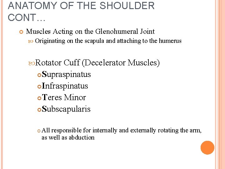 ANATOMY OF THE SHOULDER CONT… Muscles Acting on the Glenohumeral Joint Originating on the