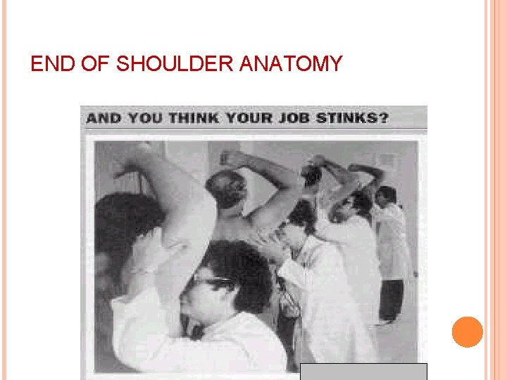 END OF SHOULDER ANATOMY 