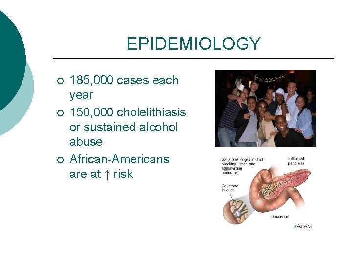 EPIDEMIOLOGY ¡ ¡ ¡ 185, 000 cases each year 150, 000 cholelithiasis or sustained