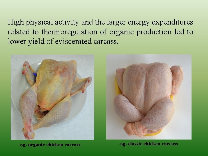 High physical activity and the larger energy expenditures related to thermoregulation of organic production