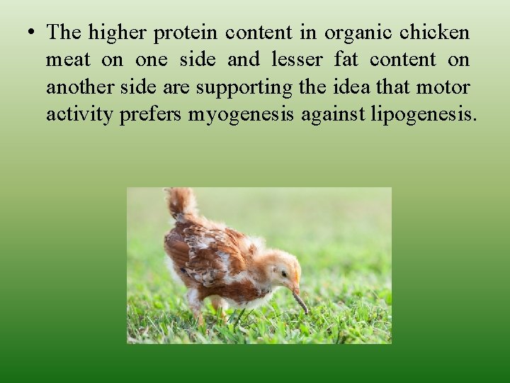  • The higher protein content in organic chicken meat on one side and