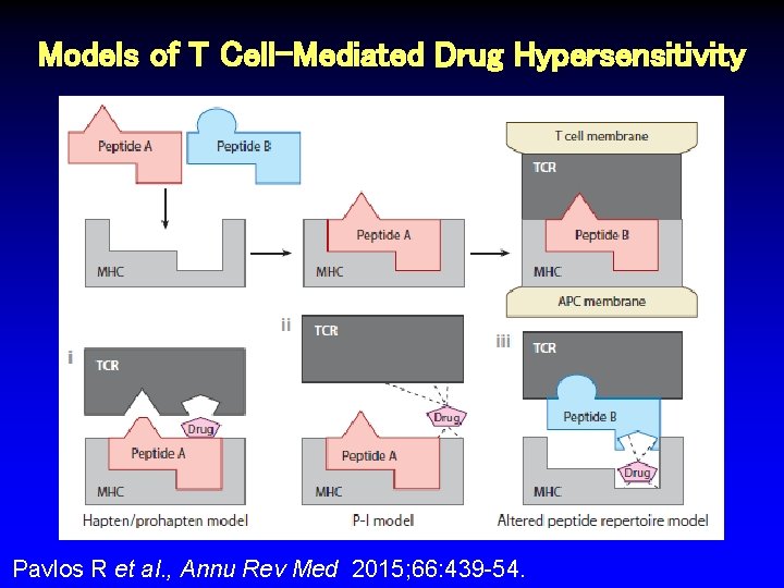 Models of T Cell-Mediated Drug Hypersensitivity Pavlos R et al. , Annu Rev Med