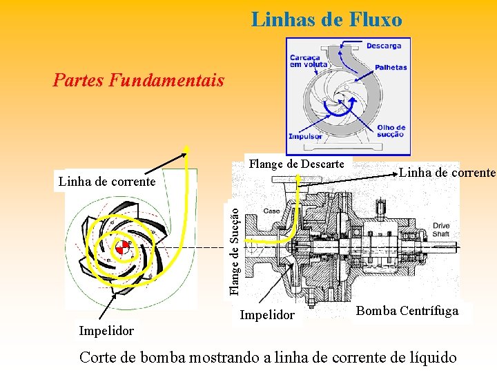 Linhas de Fluxo Partes Fundamentais Flange de Descarte Flange de Sucção Linha de corrente