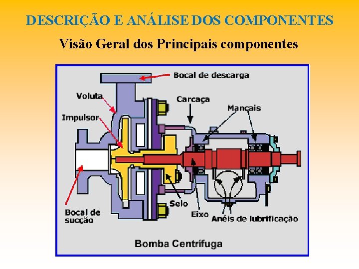 DESCRIÇÃO E ANÁLISE DOS COMPONENTES Visão Geral dos Principais componentes 