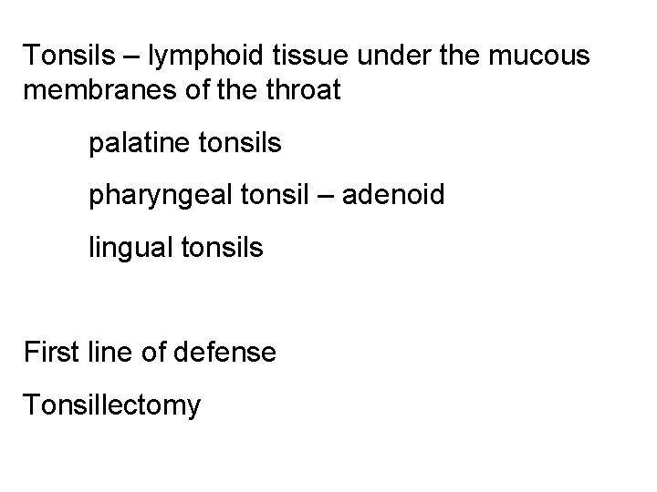 Tonsils – lymphoid tissue under the mucous membranes of the throat palatine tonsils pharyngeal