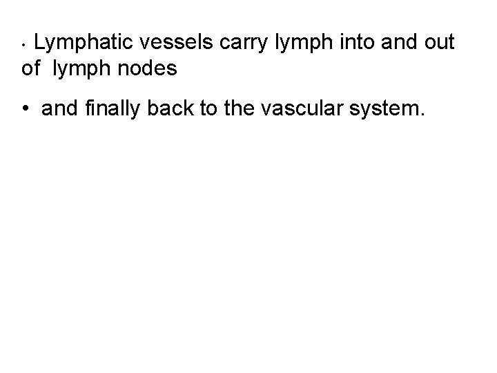 Lymphatic vessels carry lymph into and out of lymph nodes • • and finally Lymphatic vessels carry lymph into and out of lymph nodes • • and finally