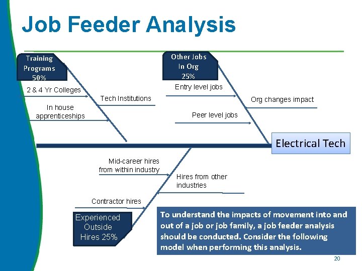 Job Feeder Analysis Other Jobs In Org 25% Training Programs 50% Entry level jobs