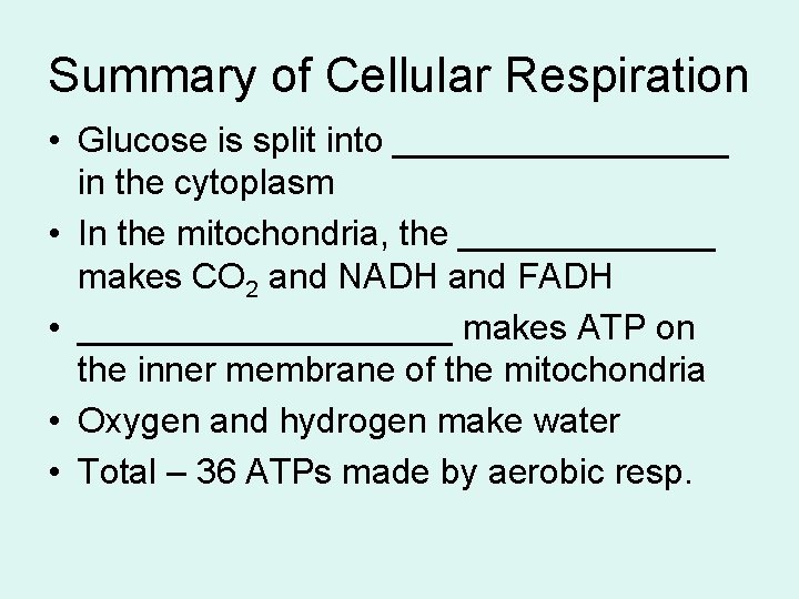 Summary of Cellular Respiration • Glucose is split into _________ in the cytoplasm •