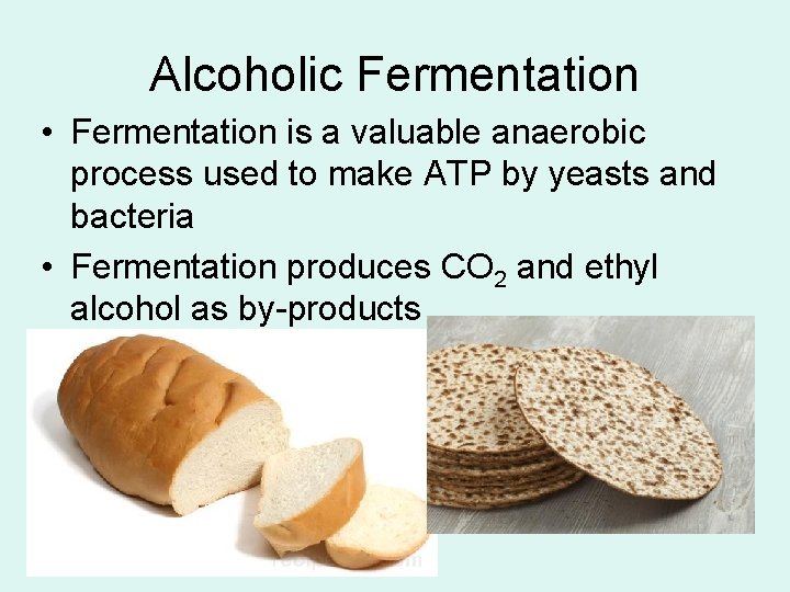 Alcoholic Fermentation • Fermentation is a valuable anaerobic process used to make ATP by