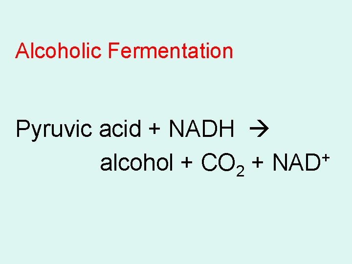 Alcoholic Fermentation Pyruvic acid + NADH + alcohol + CO 2 + NAD 