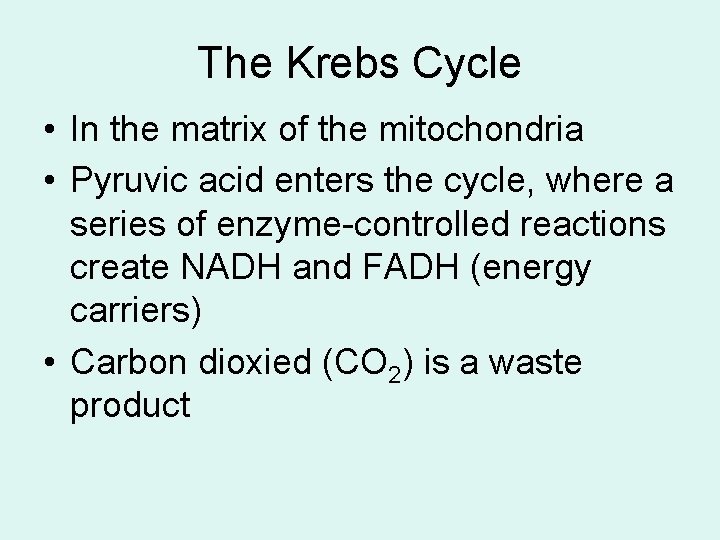 The Krebs Cycle • In the matrix of the mitochondria • Pyruvic acid enters