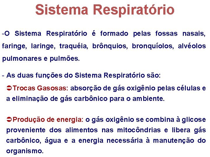 Sistema Respiratório -O Sistema Respiratório é formado pelas fossas nasais, faringe, laringe, traquéia, brônquios,
