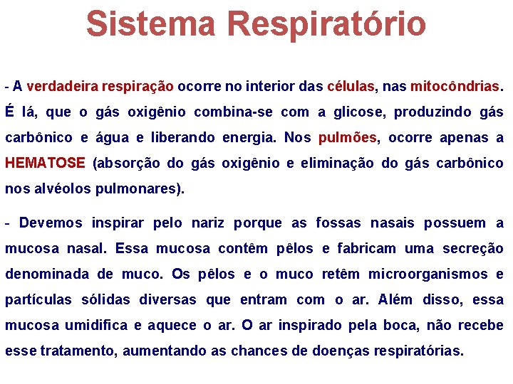 Sistema Respiratório - A verdadeira respiração ocorre no interior das células, nas mitocôndrias. É