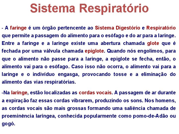 Sistema Respiratório - A faringe é um órgão pertencente ao Sistema Digestório e Respiratório