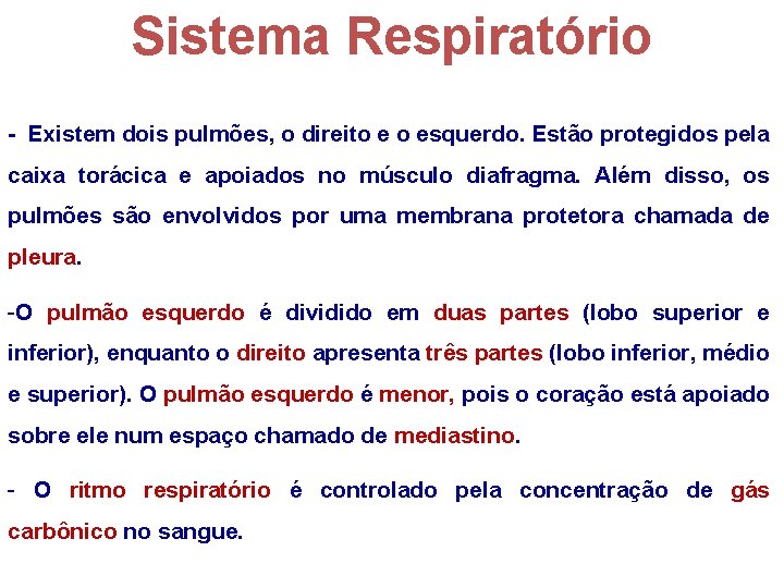 Sistema Respiratório - Existem dois pulmões, o direito e o esquerdo. Estão protegidos pela