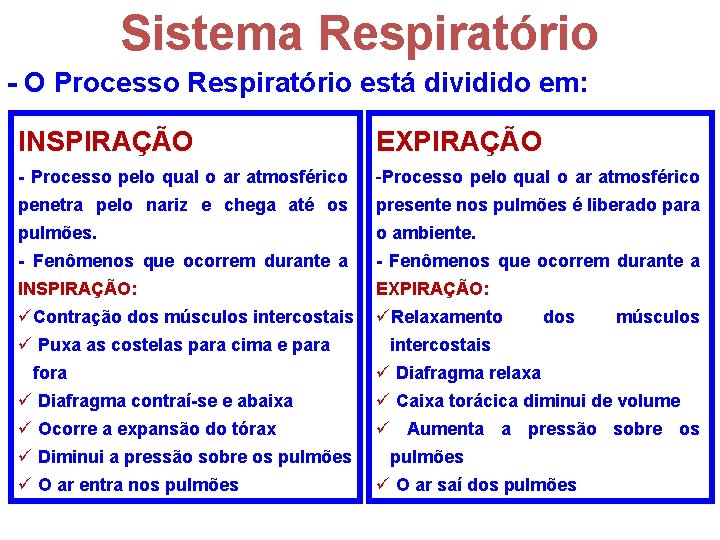 Sistema Respiratório - O Processo Respiratório está dividido em: INSPIRAÇÃO EXPIRAÇÃO - Processo pelo