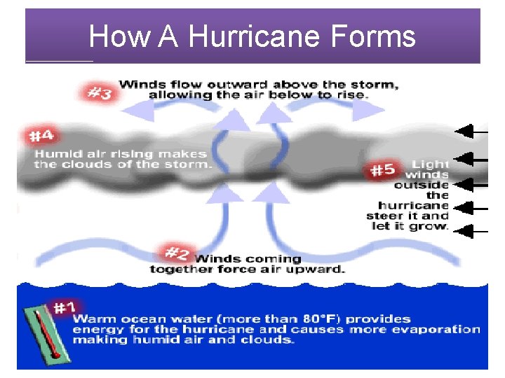 How A Hurricane Forms 