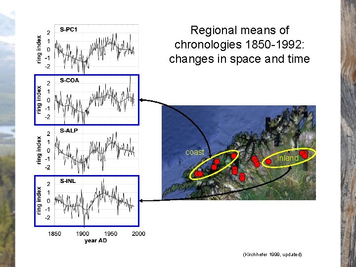 Regional means of chronologies 1850 -1992: changes in space and time coast inland (Kirchhefer