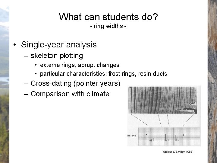 What can students do? - ring widths - • Single-year analysis: – skeleton plotting