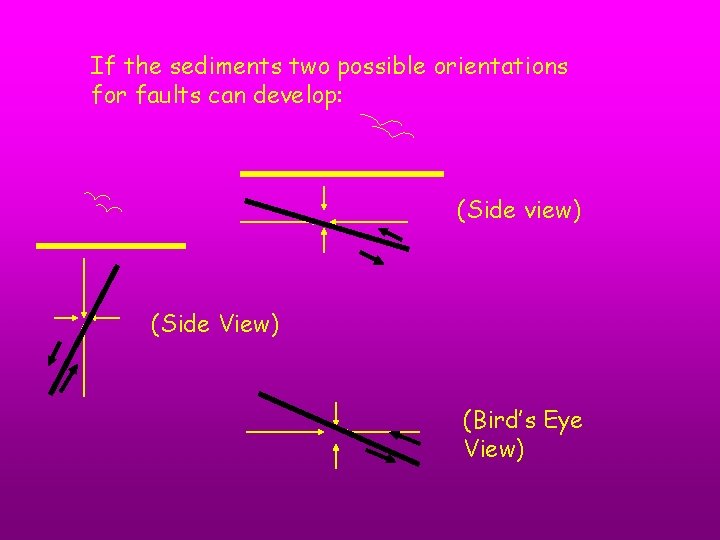 If the sediments two possible orientations for faults can develop: (Side view) (Side View)