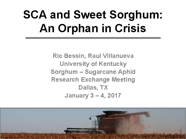 SCA and Sweet Sorghum: An Orphan in Crisis Ric Bessin, Raul Villanueva University of