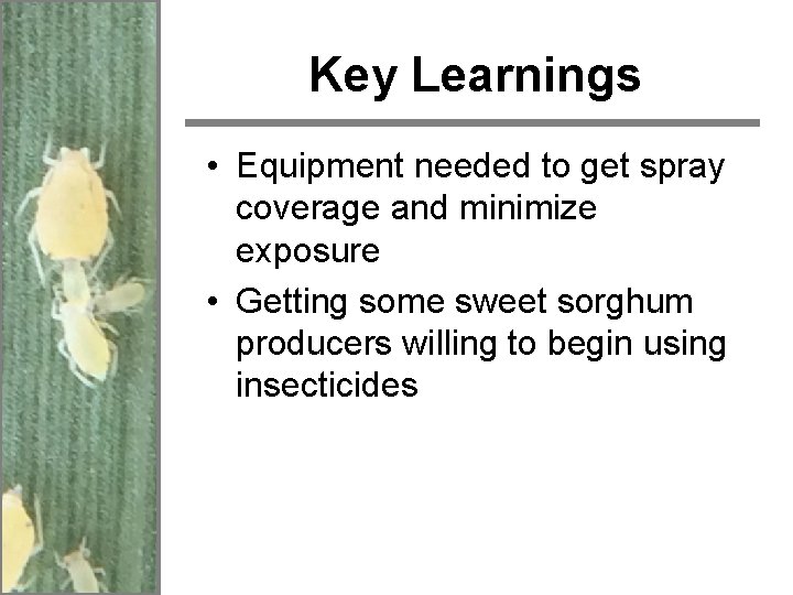 Key Learnings • Equipment needed to get spray coverage and minimize exposure • Getting