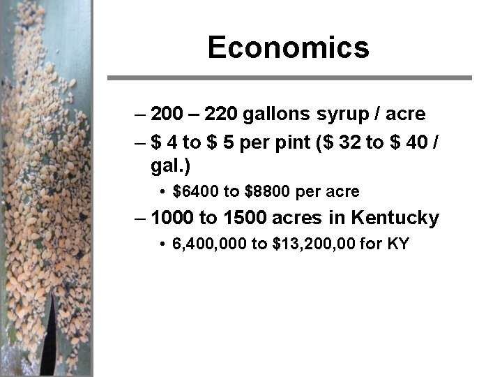 Economics – 200 – 220 gallons syrup / acre – $ 4 to $