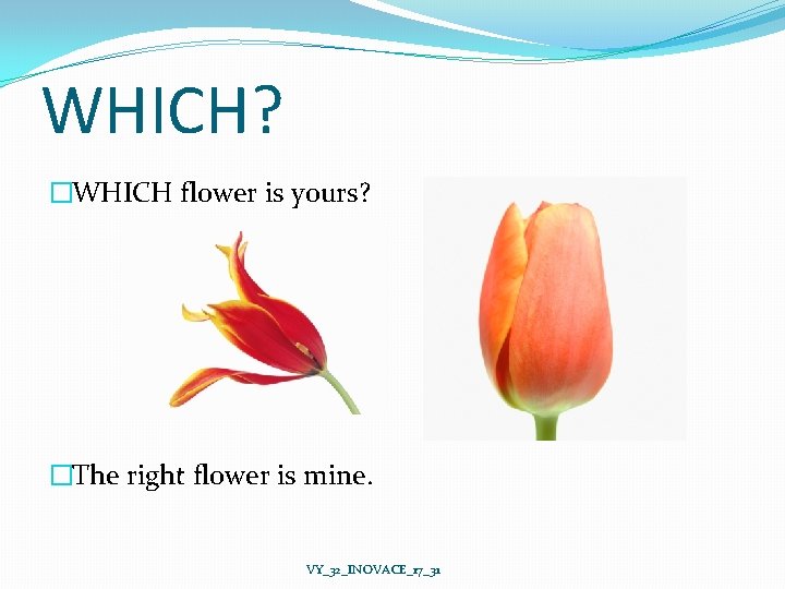 WHICH? �WHICH flower is yours? �The right flower is mine. VY_32_INOVACE_17_31 