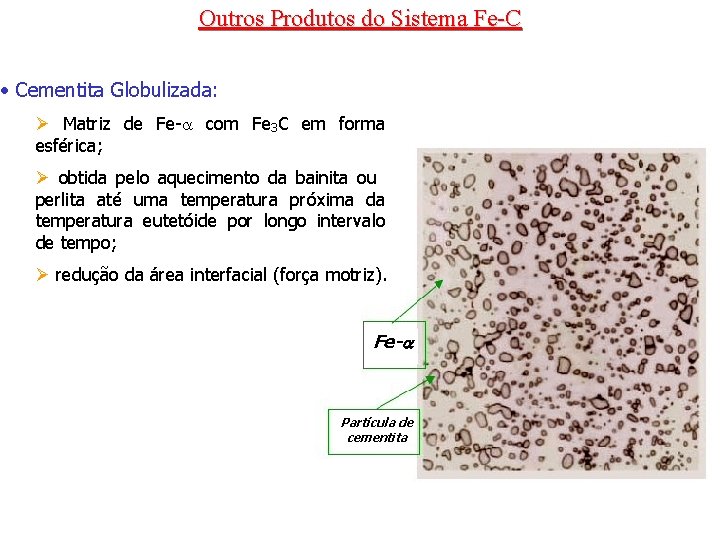 Outros Produtos do Sistema Fe-C • Cementita Globulizada: Ø Matriz de Fe- com Fe