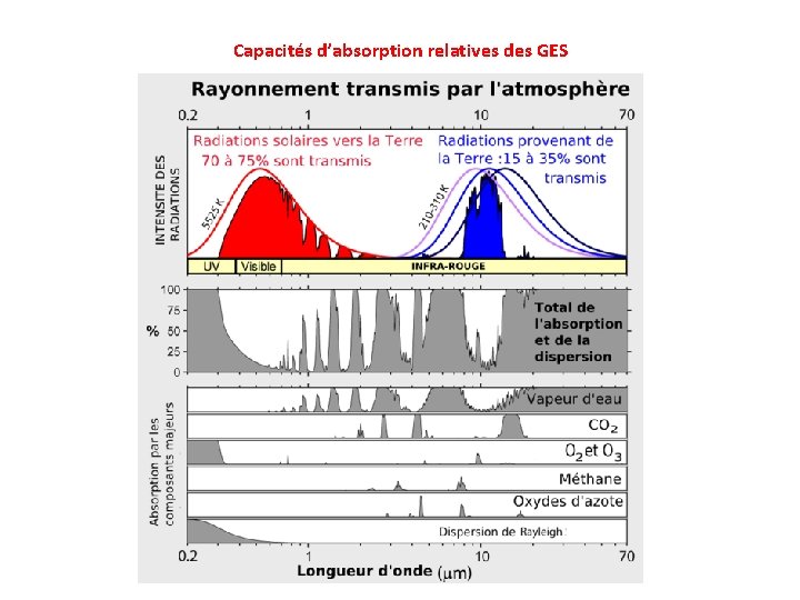 Capacités d’absorption relatives des GES 