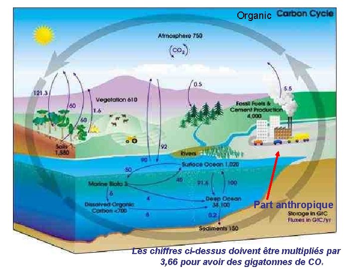 Organic Part anthropique Les chiffres ci-dessus doivent être multipliés par 3, 66 pour avoir