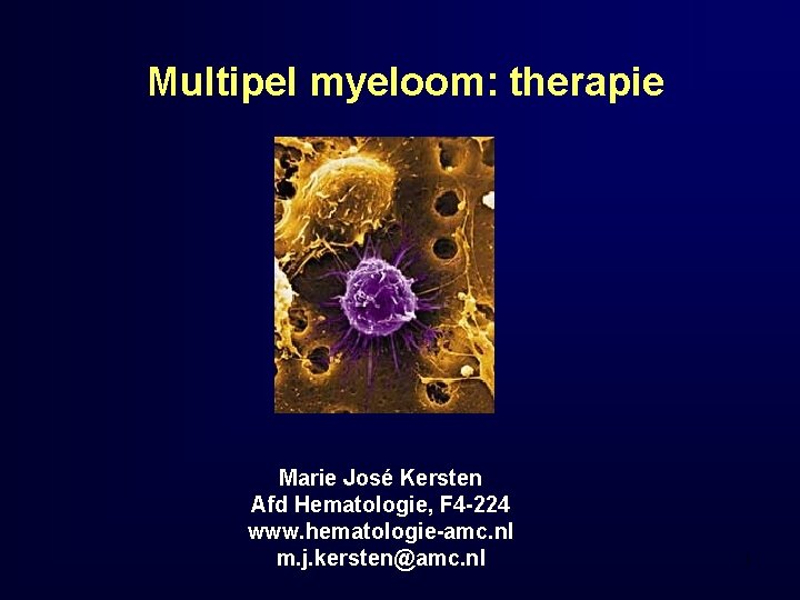 Multipel myeloom: therapie Marie José Kersten Afd Hematologie, F 4 -224 www. hematologie-amc. nl