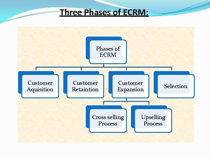 Three Phases of ECRM: Phases of ECRM Customer Aquisition Customer Retaintion Customer Expansion Cross
