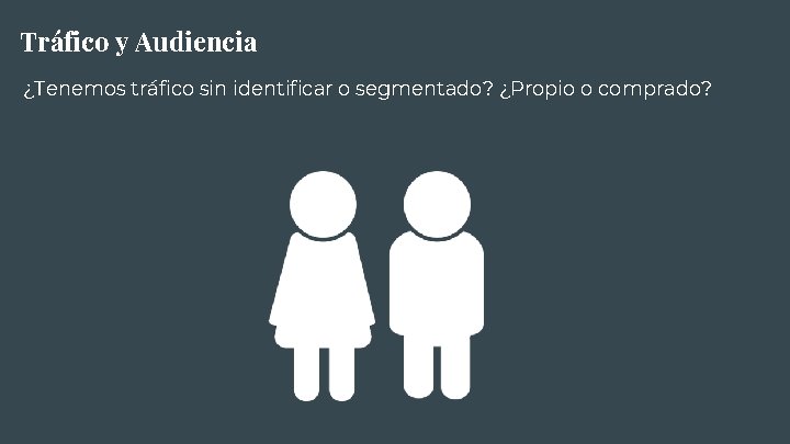 Tráfico y Audiencia ¿Tenemos tráfico sin identificar o segmentado? ¿Propio o comprado? 