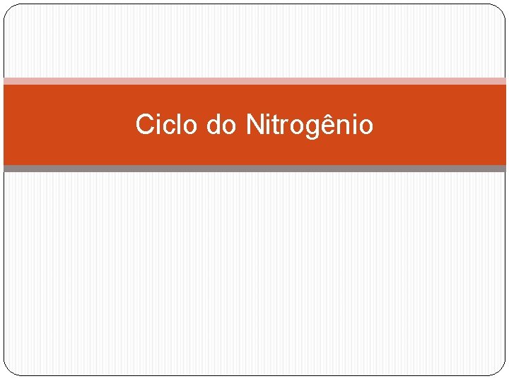 Ciclo do Nitrogênio 