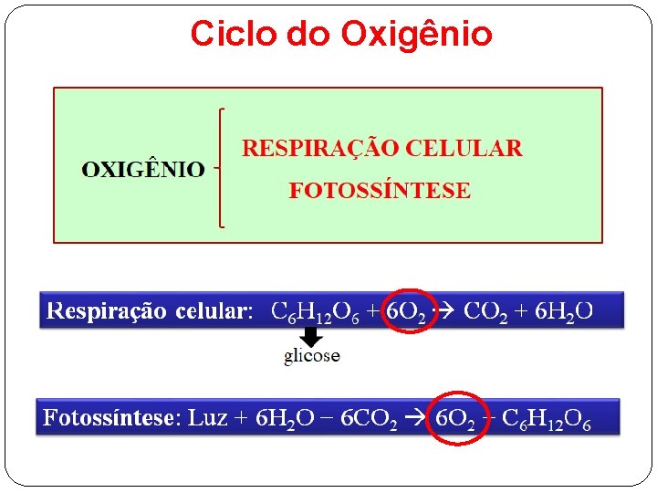 Ciclo do Oxigênio OXIGÊNIO 