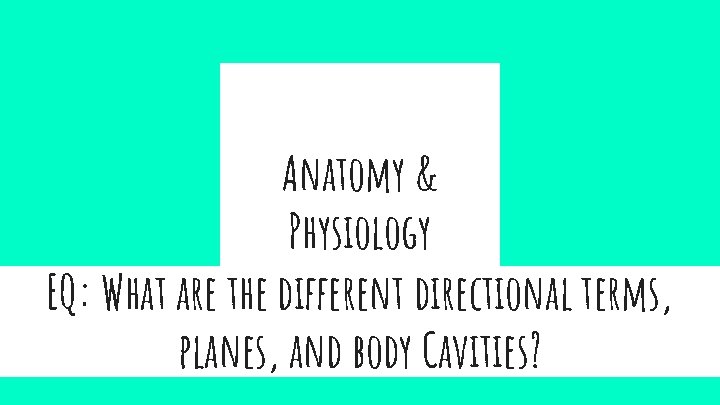 Anatomy & Physiology EQ: What are the different directional terms, planes, and body Cavities?