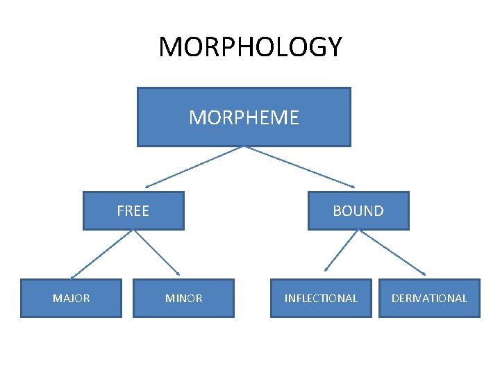 MORPHOLOGY MORPHEME FREE MAJOR BOUND MINOR INFLECTIONAL DERIVATIONAL 