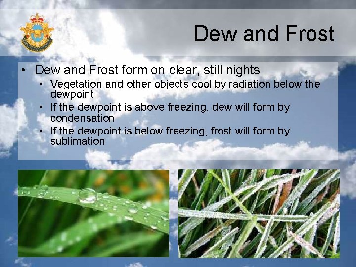 Dew and Frost • Dew and Frost form on clear, still nights • Vegetation