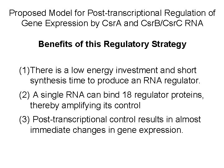 Proposed Model for Post-transcriptional Regulation of Gene Expression by Csr. A and Csr. B/Csr.