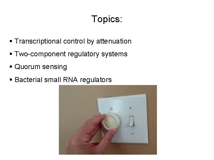 Topics: § Transcriptional control by attenuation § Two-component regulatory systems § Quorum sensing §