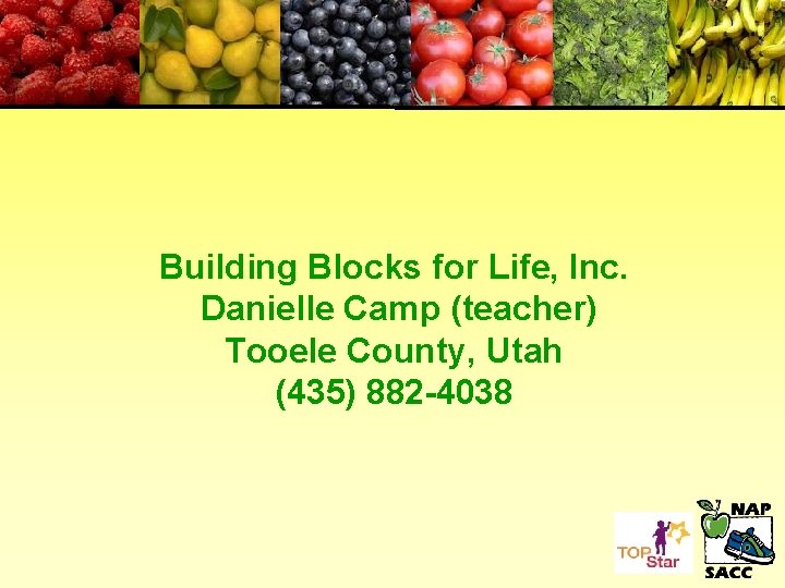 Building Blocks for Life, Inc. Danielle Camp (teacher) Tooele County, Utah (435) 882 -4038