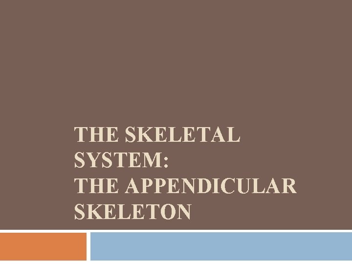 THE SKELETAL SYSTEM: THE APPENDICULAR SKELETON 