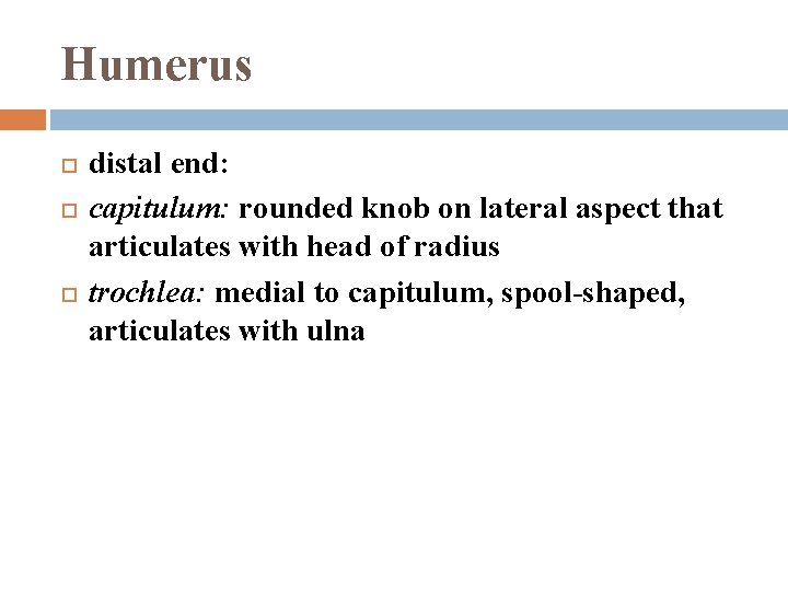 Humerus distal end: capitulum: rounded knob on lateral aspect that articulates with head of