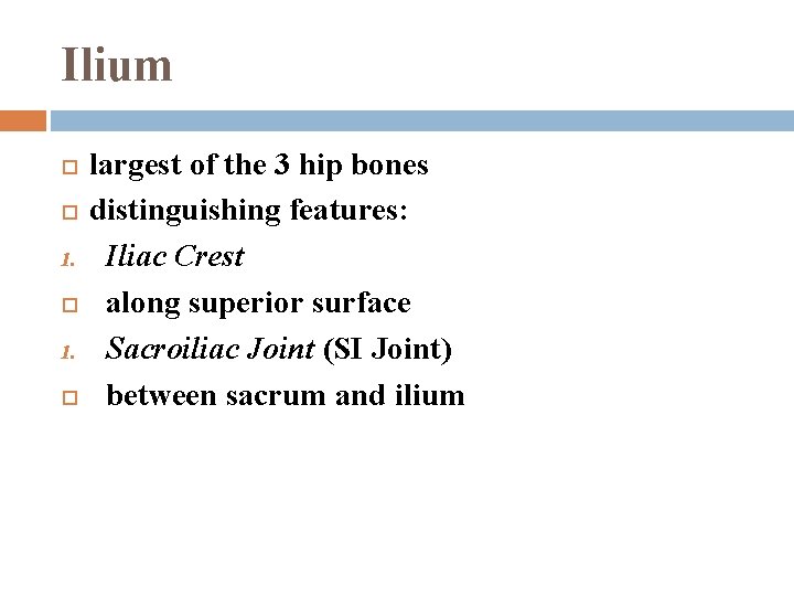 Ilium 1. largest of the 3 hip bones distinguishing features: Iliac Crest along superior